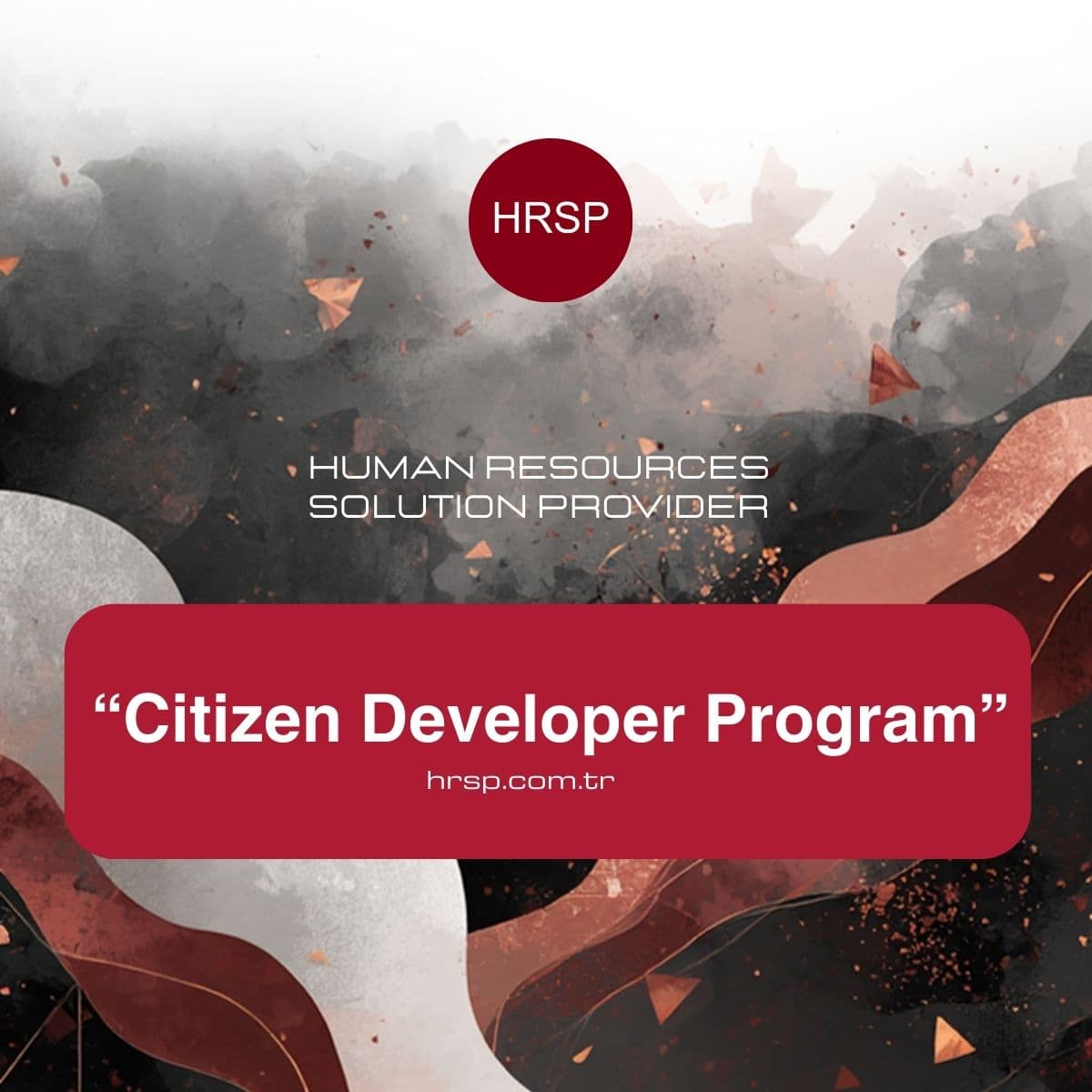 Citizen Developer Programı: İK'da Dönüşümün Yeni Motoru
